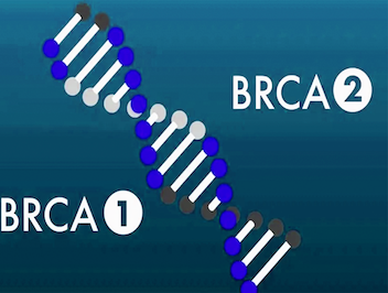 brca мутация