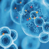 Мутация PIK3CA